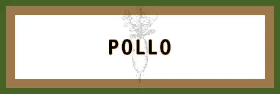 Pollo